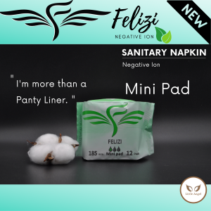 (Package 3) FELIZI SANITARY NAPKIN Mini Pads  (Wing – 18.5cm) [24 packs in a bag]
